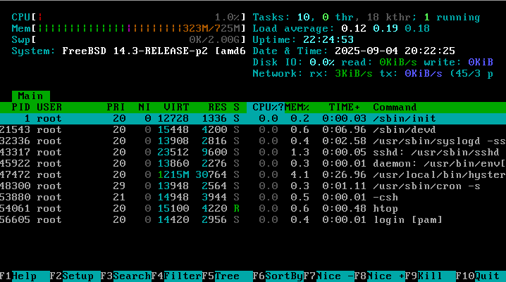 FreeBSD 15 最小化环境的进程状态