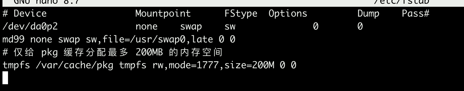 查看 pkg 缓存目录的 tmpfs 挂载状态